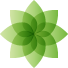 Kaos